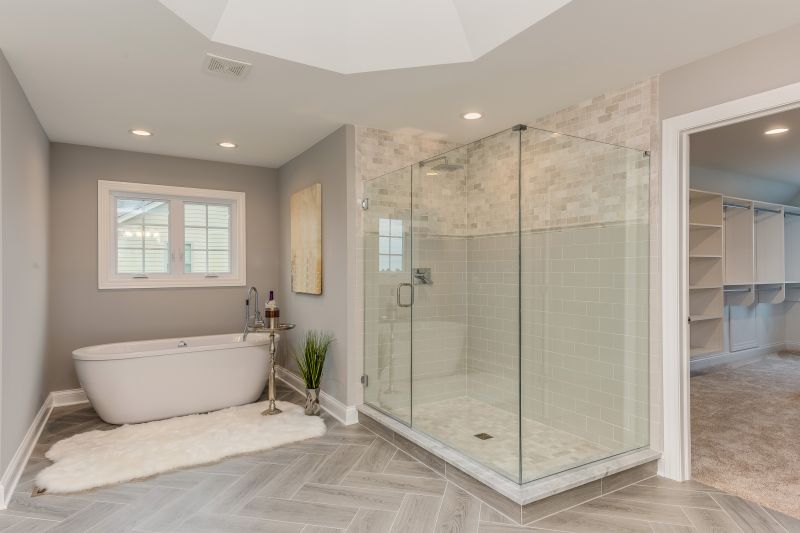 Walk-In Shower with Frameless Glass